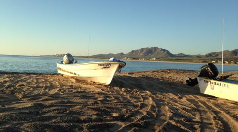 Masters thesis at SES-LINK: A guide to developing stylized ecological models for small-scale fisheries